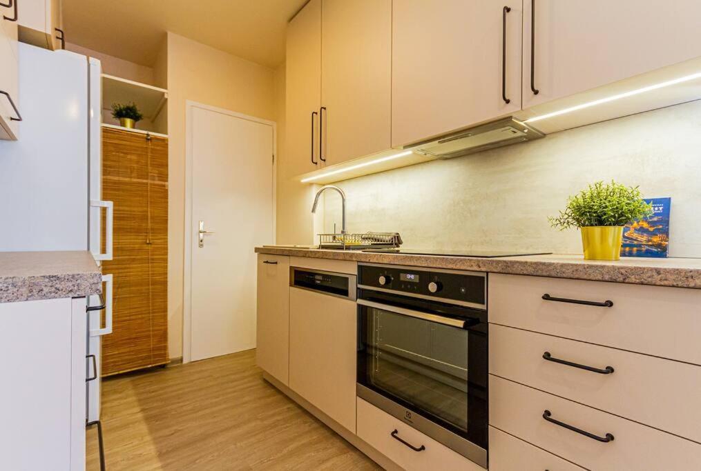 Roomy Apartment 80Sqm At City Center Free Parking Space, Ac & Balcony Budapest Extérieur photo