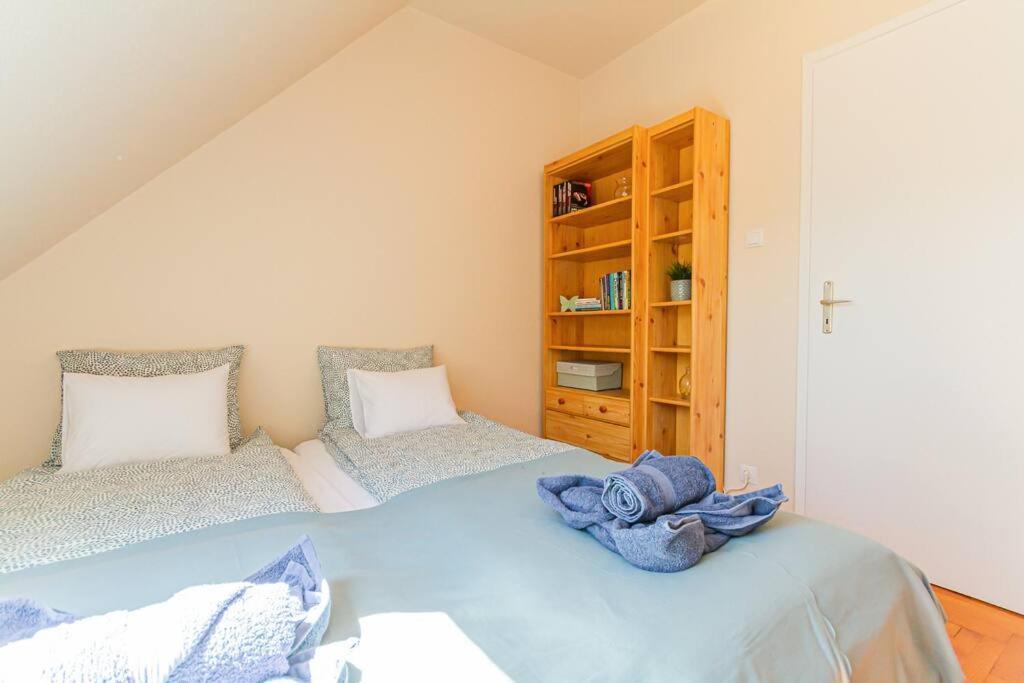 Roomy Apartment 80Sqm At City Center Free Parking Space, Ac & Balcony Budapest Extérieur photo
