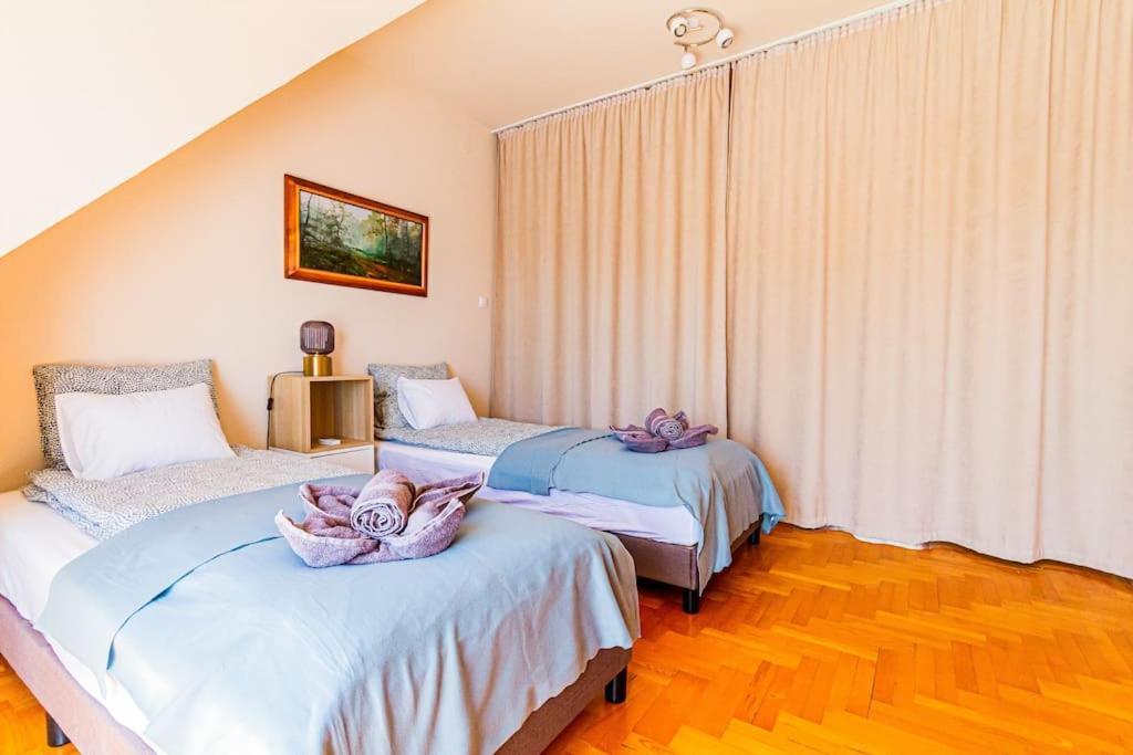 Roomy Apartment 80Sqm At City Center Free Parking Space, Ac & Balcony Budapest Extérieur photo